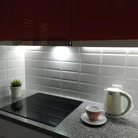 Ferhouse Dreams 아파트